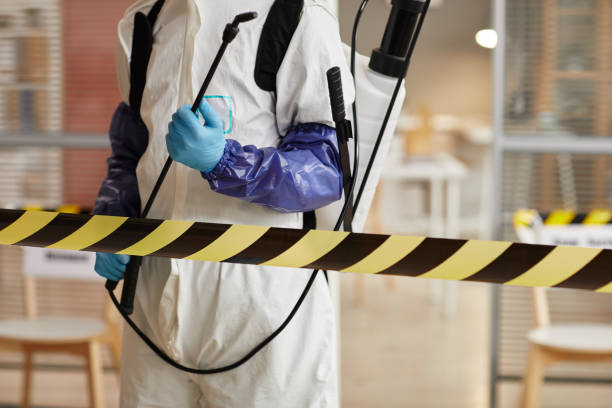 Professional Hoarding Cleanup technician working in Graham, TX